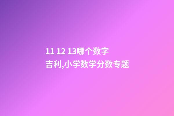 11 12 13哪个数字吉利,小学数学分数专题-第1张-观点-玄机派